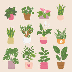 Different home plants in pots. Vector illustrations in flat style. Popular indoor potted plants - palm, fiddle leaf fig, monstera, peace lily, snake plant.