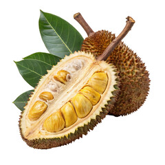 Obraz premium Jackfruits with leaves isolated