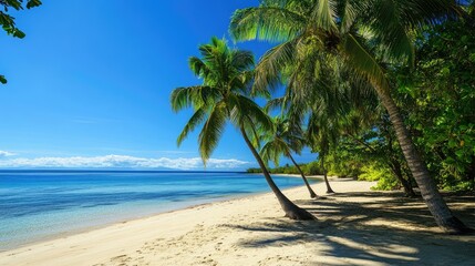Obraz premium A serene beachside setting with coconut trees, soft sand, and a clear blue sky above.