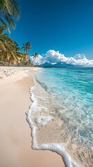 Tropical beach paradise turquoise water, white sand, and palm trees under a blue sky