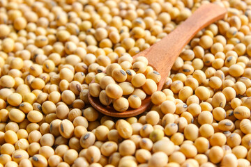Fresh soybeans on a wooden spoon with soybeans background. Raw soybeans. Food ingredients.