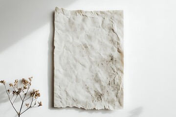 Modern Eco-Friendly Letterhead – Natural Textures and Green Accents