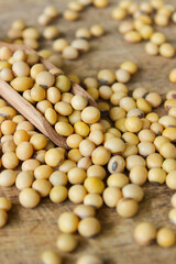 Fresh soybeans on a wooden shovel spoon with wooden background. Raw soybeans. Food ingredients