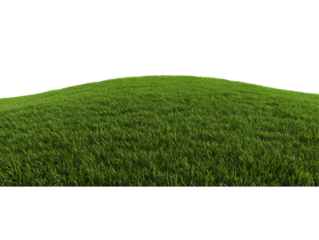 Isolated Background of Green Grass Lawn Field Turf in Spring Summer