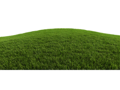 Isolated Background of Green Grass Lawn Field Turf in Spring Summer