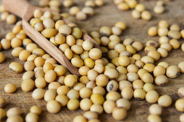 Fresh soybeans on a wooden shovel spoon with wooden background. Raw soybeans. Food ingredients