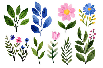 Watercolor wildflowers and leaves illustration set isolated on white