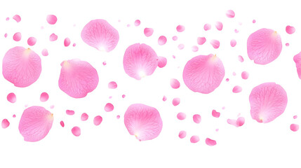 Isolated Background of Pink Rose Petals Falling Pattern Design Decoration