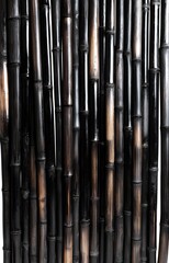 Obraz premium Dark brown bamboo fence texture as background