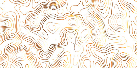 Topographic canyon geometric map relief texture with curved layers and shadow. abstract White background with a beautiful pattern, Topographic contour lines vector map seamless pattern vector.