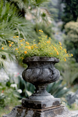 fountain in the garden