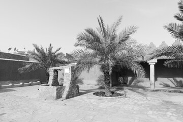 Public place with palm trees and renovated houses in the traditional village of Shaqra in Saudi Arabia. Shaqra is a traditional restored village made of clay bricks