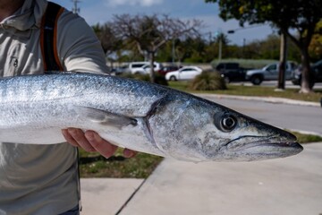 fresh fish on the hook
