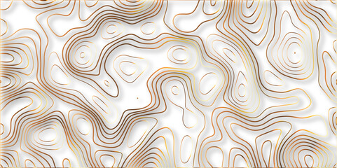 Topographic canyon geometric map relief texture with curved layers and shadow. abstract White background with a beautiful pattern, Topographic contour lines vector map seamless pattern vector.