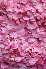 closeup of light pink hydrangea petals creating natural abstract pattern with soft texture