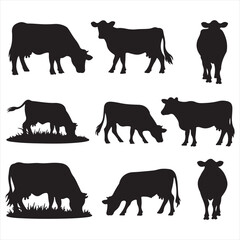 set of cow vector silhouettes, set of different style cow, Dairy farm cow, Cow Grazing On Meadow, vector silhouettes    © Abdur Razzak ID: #52
