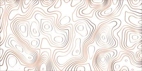 Topographic canyon geometric map relief texture with curved layers and shadow. abstract White background with a beautiful pattern, Topographic contour lines vector map seamless pattern vector.