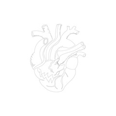 heart vector illustration line art design