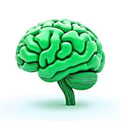 A 3D icon of a green brain on a white background, symbolizing intelligence, creativity, and mental power. The vibrant green color emphasizes vitality and brain function in a modern, digital design.

