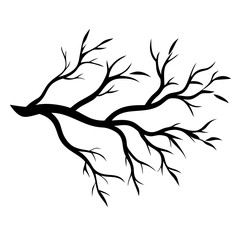 Obraz premium A tree branch vector silhouette