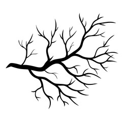 A tree branch vector silhouette