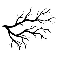 A tree branch vector silhouette
