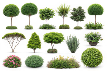 collection of trees