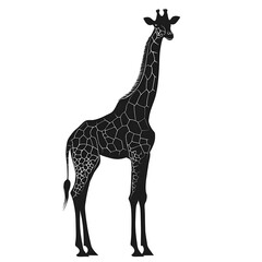 Naklejka premium Black Silhouette of a Standing Giraffe vector style illustration isolated on white background