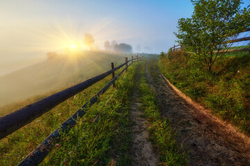 Fresh green scene of mountain farmland with old country road. Exciting summer view of Carpathian mountains, Ukraine, Europe.