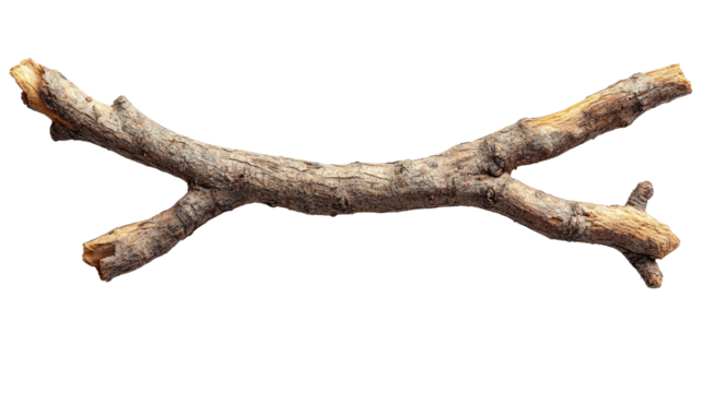 Twisted Branch's Tale: A weathered, intriguing branch lies against a backdrop of a world, its gnarled surface telling silent stories of the elements. 