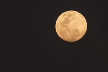 Obraz premium The moon is big and round with visible surface.