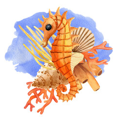 Seahorse with corals and shells. Hand drawn watercolor illustration For decoration and design of summer and beach prints, stickers, cards, postcards