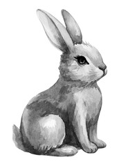 Cute watercolor illustration of a sitting rabbit with detailed fur and expressive features in black and white