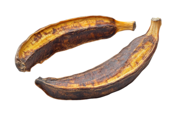 Decaying banana portraits in solemn stillness a poignant reminder of time passing organic decay and dark moody studio lighting with stark contrast.
