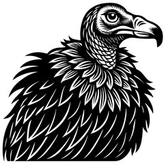 Fototapeta premium Majestic Vulture Portrait: A stark black and white rendering of a vulture, its sharp gaze and intricately feathered body exuding a sense of starkness and predatory prowess.
