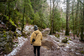 Spring walk in the forest