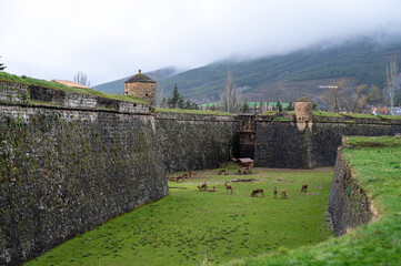 Beautiful  Ciudadela of Jaca in northern Spain