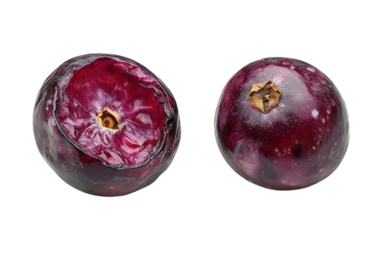 Passionfruit's Enigmatic Beauty: Two purple orbs against absolute blackness showcasing texture and detail under studio lighting conditions.