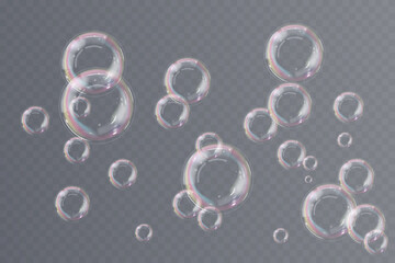 Realistic soap bubbles float delicately, reflecting rainbow color highlights. Transparent background enhances clarity, showcasing airy bubble structure. Light refraction shimmers softly