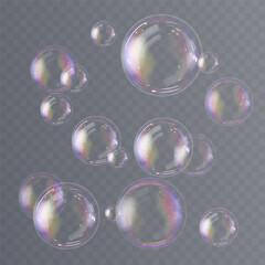 Realistic soap bubbles float delicately, reflecting rainbow color highlights. Transparent background enhances clarity, showcasing airy bubble structure. Light refraction shimmers softly