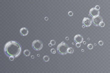 Realistic soap bubbles float delicately, reflecting rainbow color highlights. Transparent background enhances clarity, showcasing airy bubble structure. Light refraction shimmers softly
