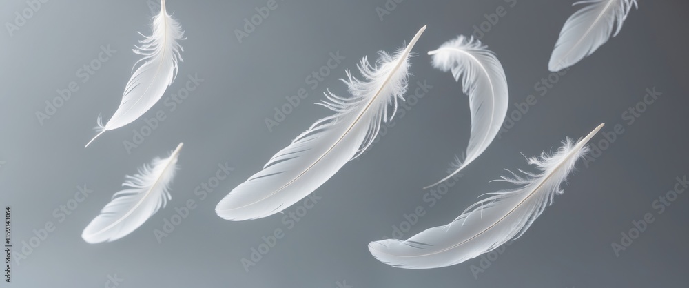 Poster abstract white bird feathers descending in the air. softness of feathers. feather against background