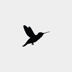 Fototapeta premium Hummingbird Silhouette Swift and Delicate.