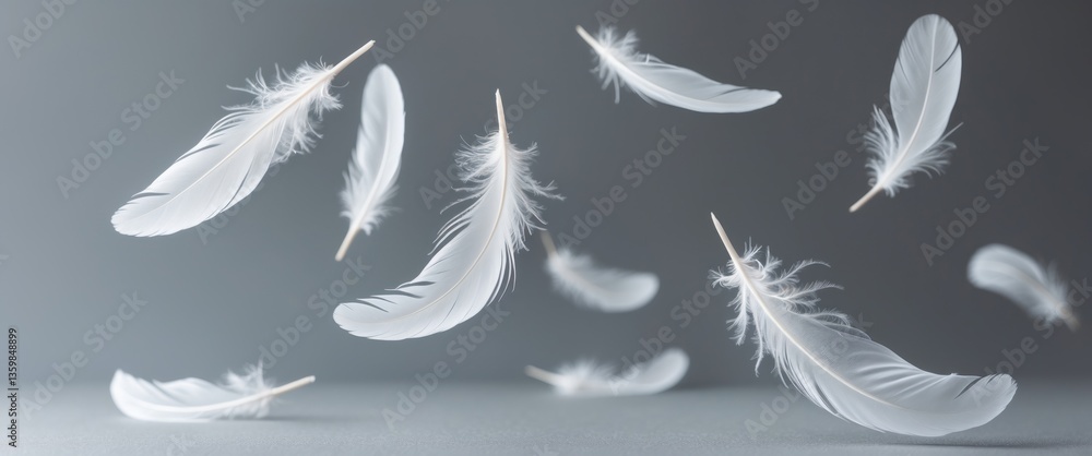 Poster abstract white bird feathers descending in the air. softness of feathers. feather on background.