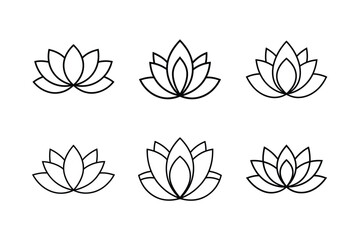 Fototapeta premium vector illustration of lotus flower