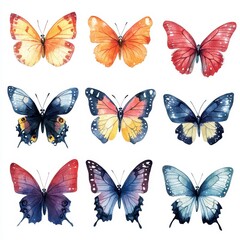 Collection of Watercolor Butterfly Illustrations in Orange Red Blue and Purple on White Background