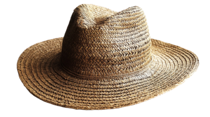 Brown Straw Fedora Hat