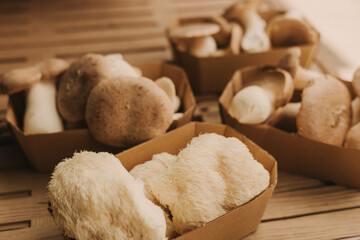Close-up of exotic mushrooms in a paper boxes, champignons grown gourmet. Organic produce on sale at outdoor farmer market. Selling fresh crops and veggies harvest. European urban setting