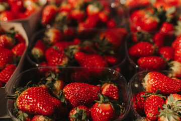Fresh strawberry at small local urban market. Organic produce on sale at outdoor farmer market....