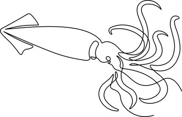Squid in continuous line art drawing style. Animal minimalist black linear sketch isolated on white background. Vector illustration